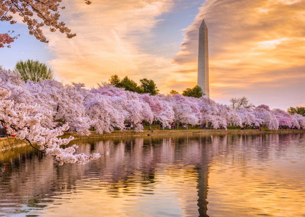 #31. Washington D.C.